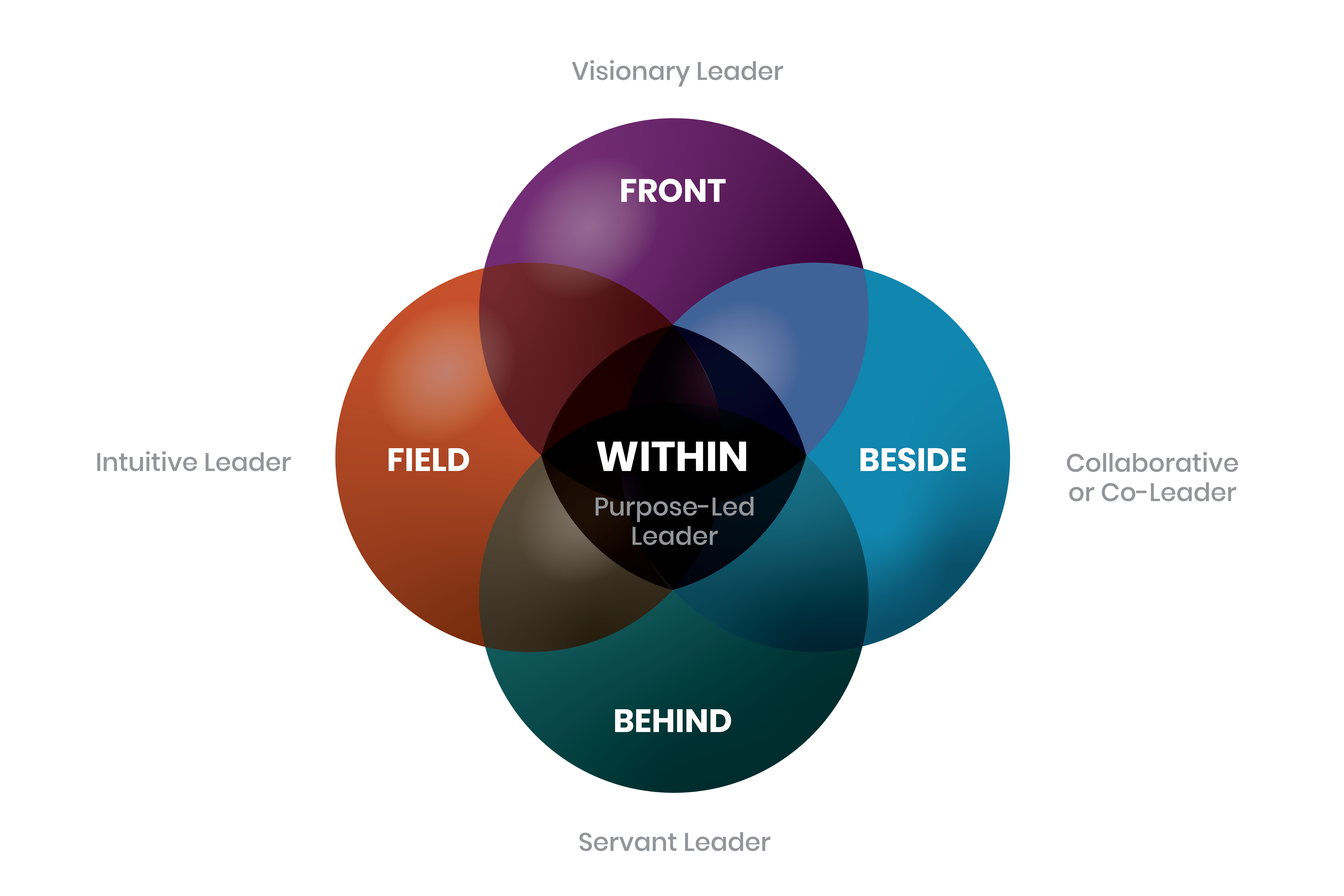 Define Co Leadership Model